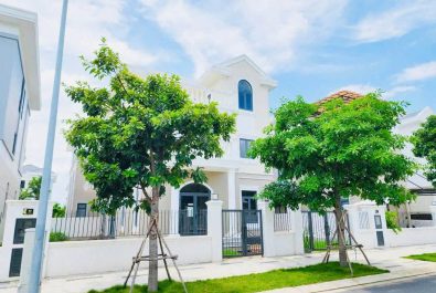 Bán Biệt thự đơn lập Phân khu The Grand Villas Aqua City