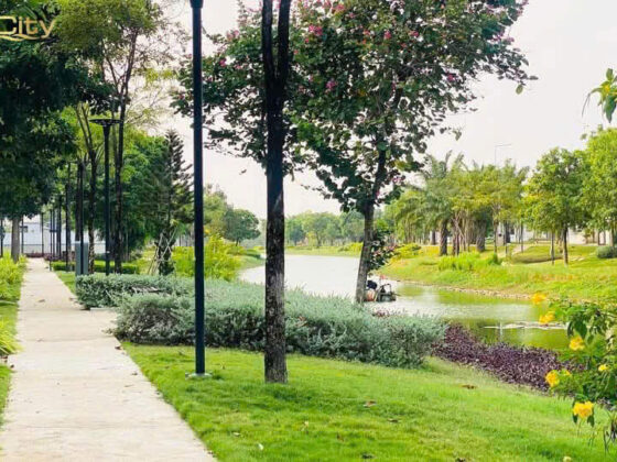 Bán Nhà Phố Căn Góc The Suite Aqua City